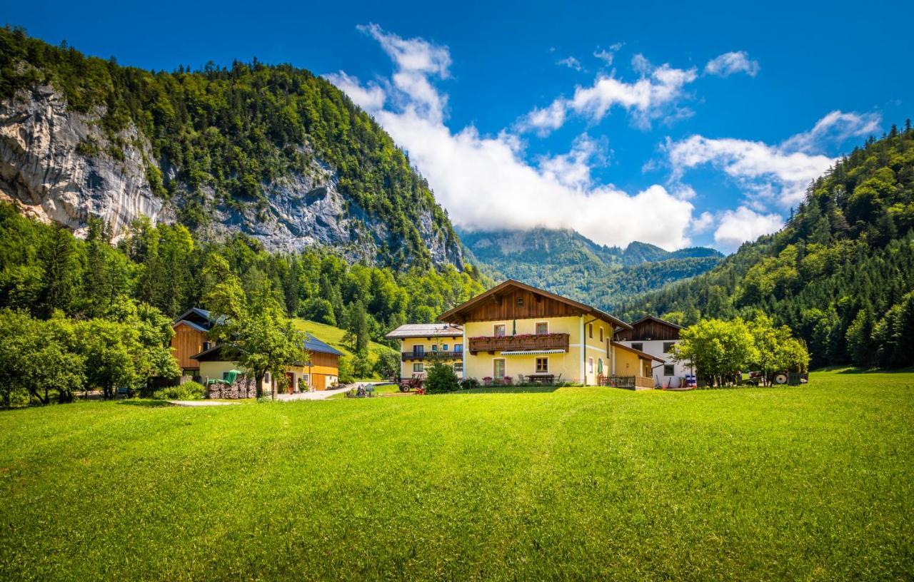 Bed and Breakfast Hinterkellaubauer Kuchl Exterior foto